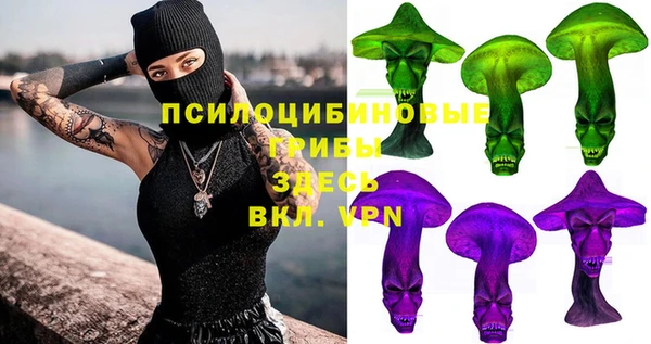 гидра Галич
