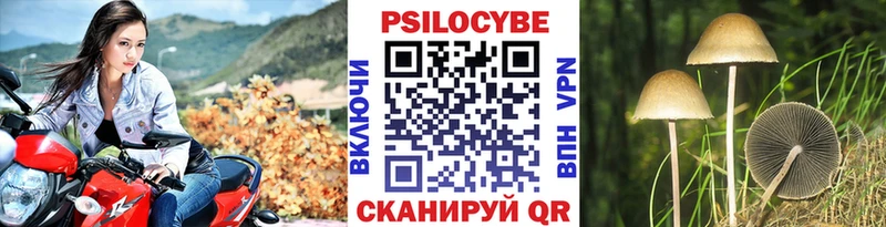 ОМГ ОМГ Боровичи Галлюциногенные грибы ЛСД