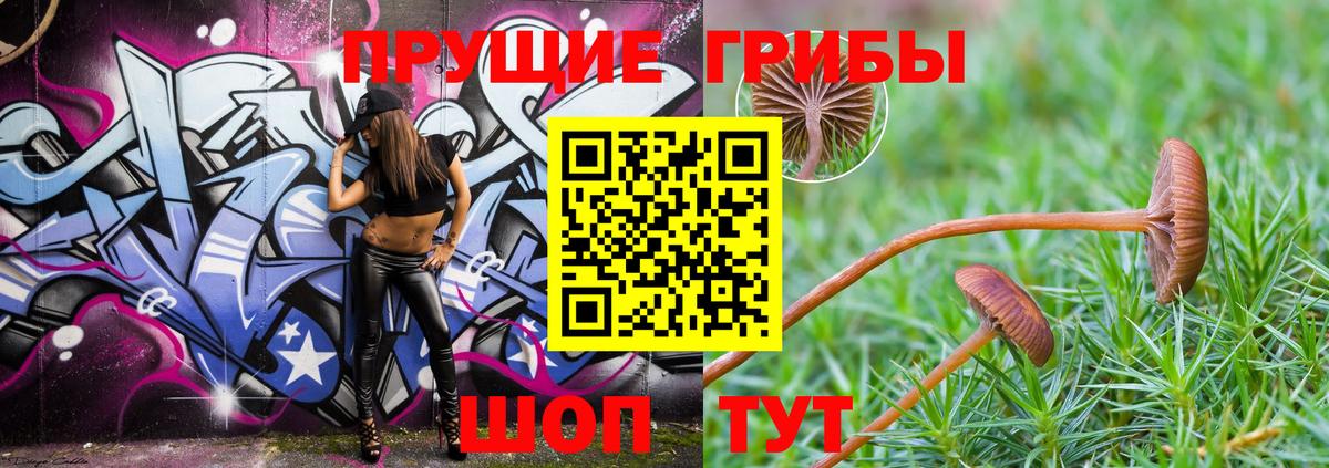 Псилоцибиновые грибы Magic Shrooms  Галлюциногенные грибы Psilocybe  Боровичи 