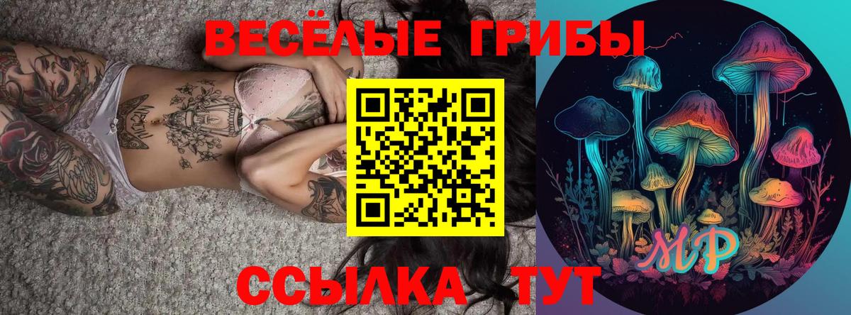 Галлюциногенные грибы Cubensis  Вход с VPN  Галлюциногенные грибы Cubensis  Боровичи 