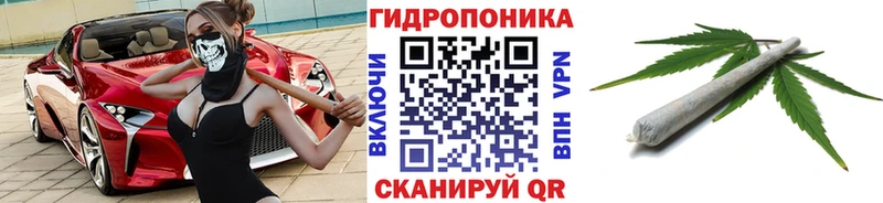 Бошки марихуана VHQ  дарнет шоп  Боровичи 