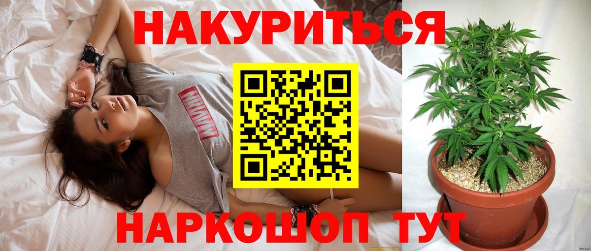 Каннабис конопля  Конопля Bruce Banner  Боровичи  Канабис Ganja 